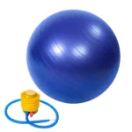 Blue Swiss Ball with Pump