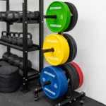 Bumper Weights Tree Display Model By GravoMax Fitness
