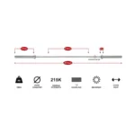 Gravomax Monkey King Olympic Training Barbell 15kg Details