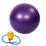 Purple Swiss Ball By gravomax fitness