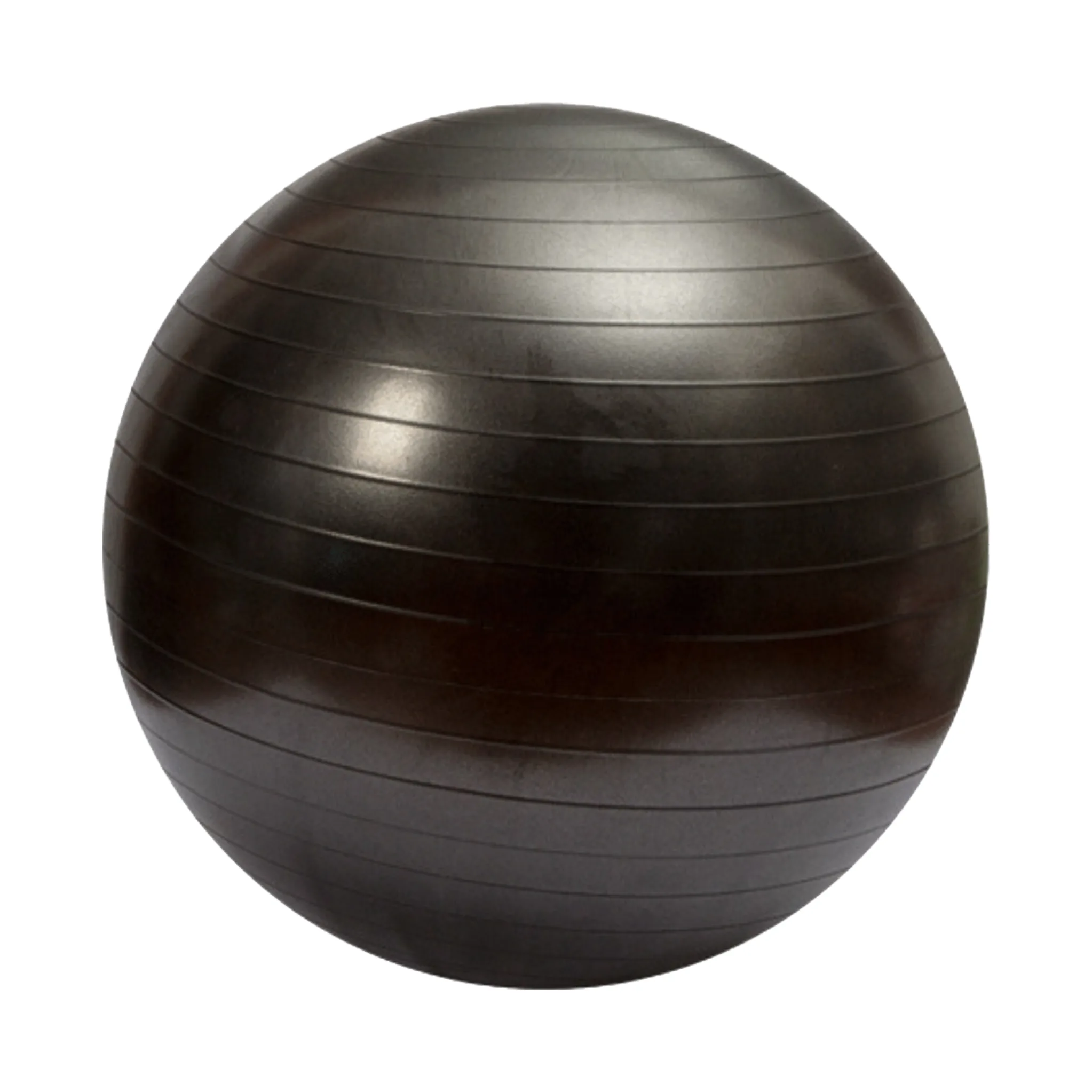 Swiss Ball GMYB85 Swiss Ball