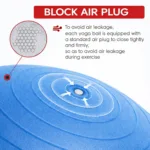 Yoga Ball Block Air Plug Details