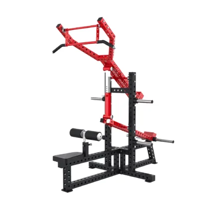 Triceps Dip and Lat Pull Down