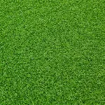 green turf