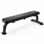Flat Bench Workout Bench via gravomax fitness