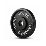 10kg Cast Iron Olympic Steel Plates