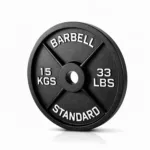 15kg Cast Iron Olympic Steel Plates