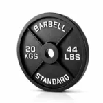 20kg Cast Iron Olympic Steel Plates