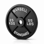 25kg Cast Iron Olympic Steel Plates