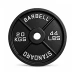 20kg Metal Plates By GravoMax Fitness