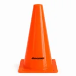 Orange Training Cone